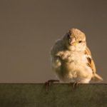 长清大学:勇敢站起来,迎接挑战与成长 ebazv7knq