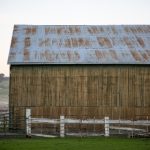 青苹果乐园在线观看:畅享青春与梦想的奇幻旅程 jtuco37